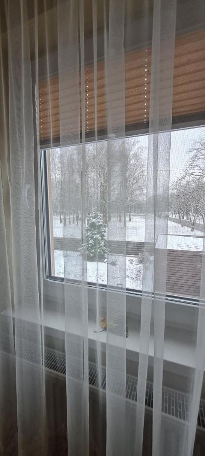 פרינאי Apartamentai Pas Danute מראה חיצוני תמונה